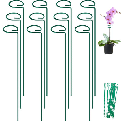 FEED GARDEN 24inch stake set stabilizing multiple plants in a bed for upright growth.
