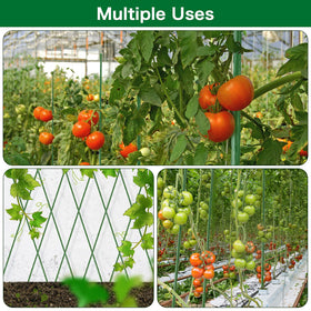 FEED GARDEN multi-use stake 83in for indoor and outdoor planting