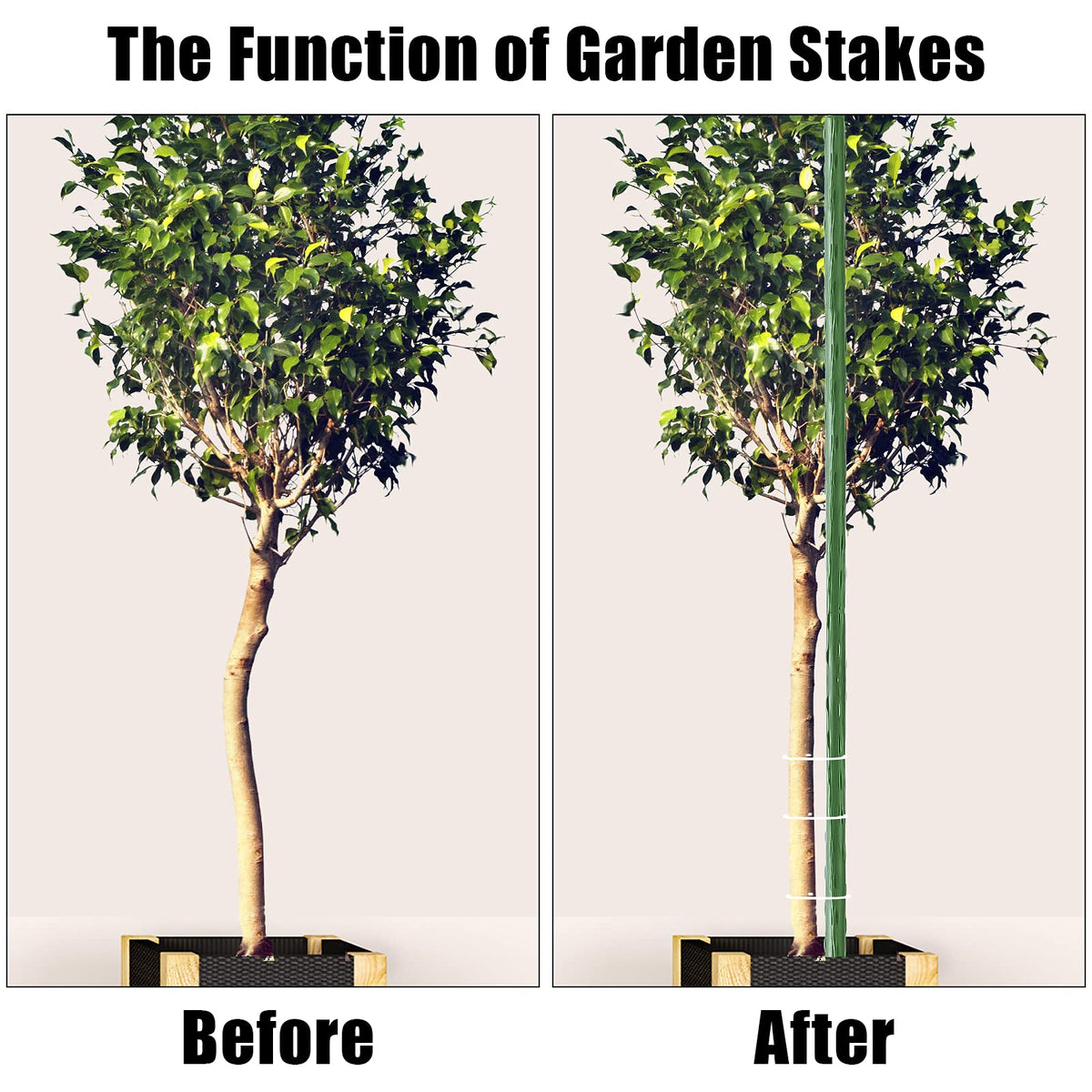 FEED GARDEN tomato-cucumber stake 83in supports climbing vegetables