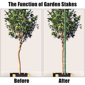 FEED GARDEN tomato-cucumber stake 83in supports climbing vegetables