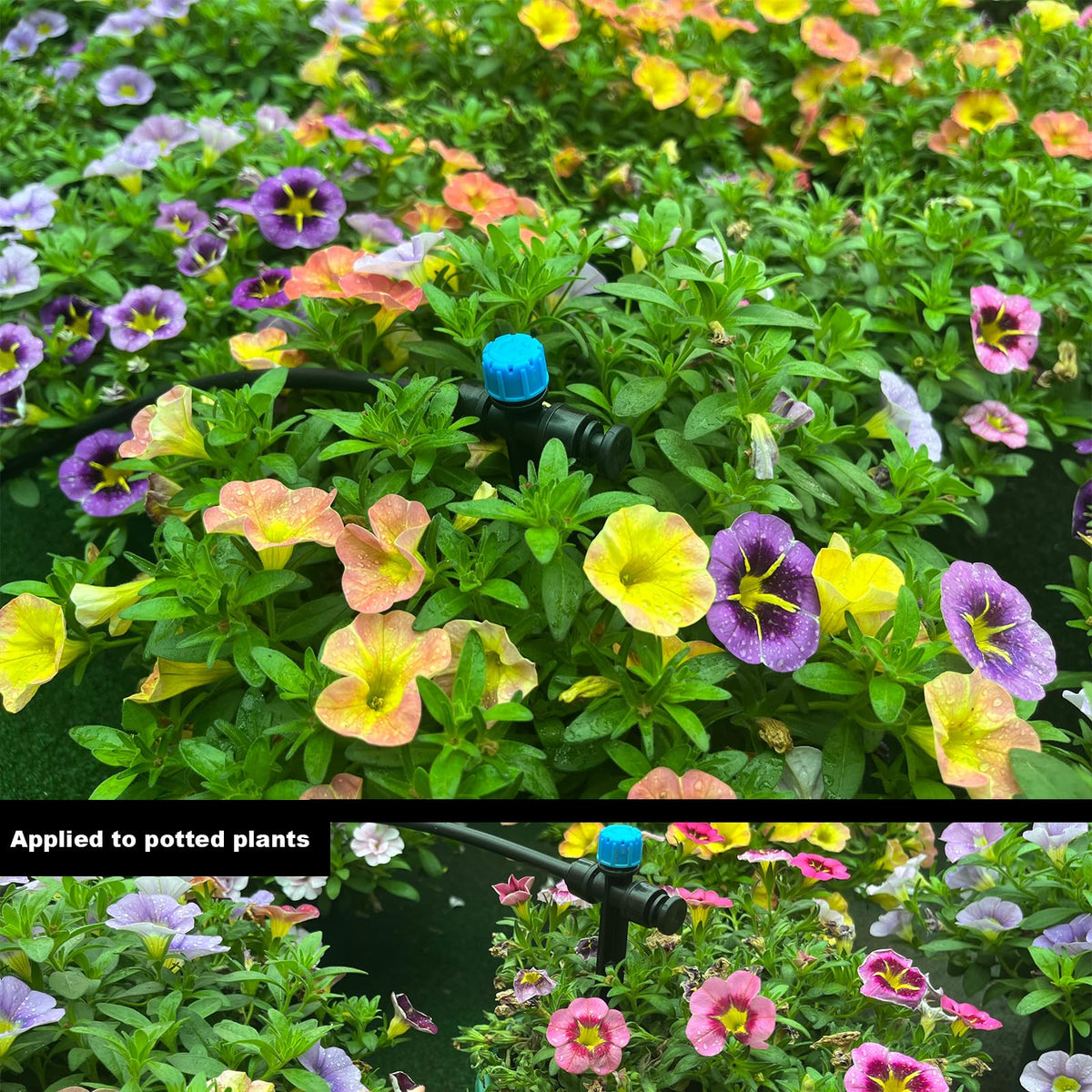 FeimiChen tool-free installation adapters enable quick, secure irrigation system setup.