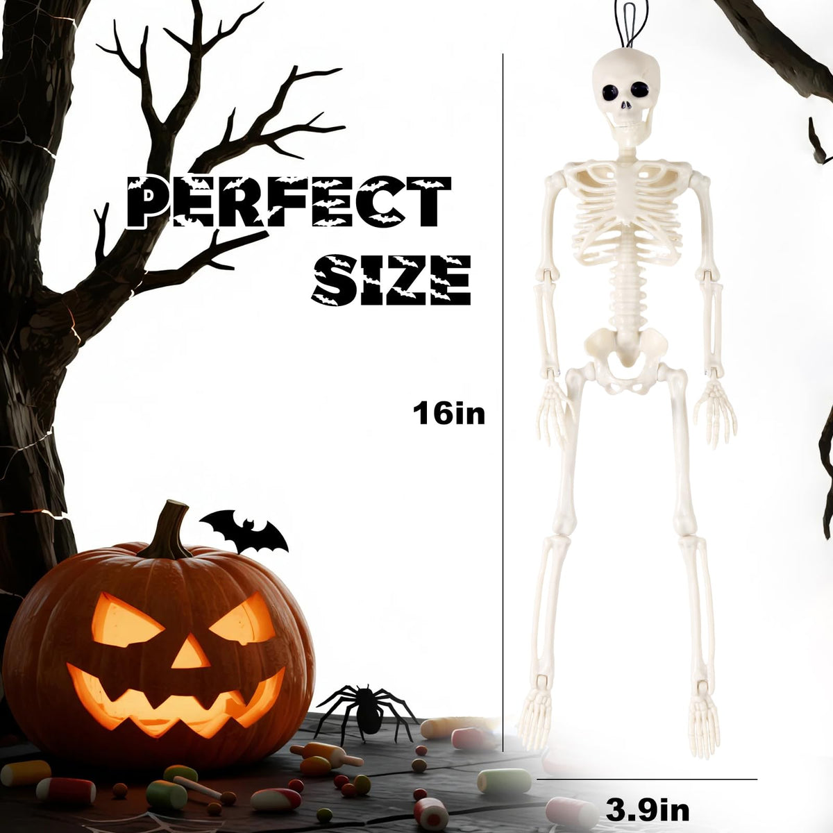 Feir 16-inch skeletons with movable joints offer dynamic posing.