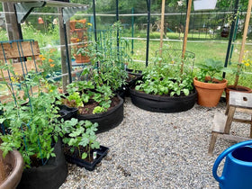 Feitore raised bed filled with soil and vegetables for immediate planting
