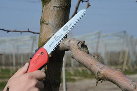 Felco F-600 heat-treated blade teeth resist corrosion for long-term use.