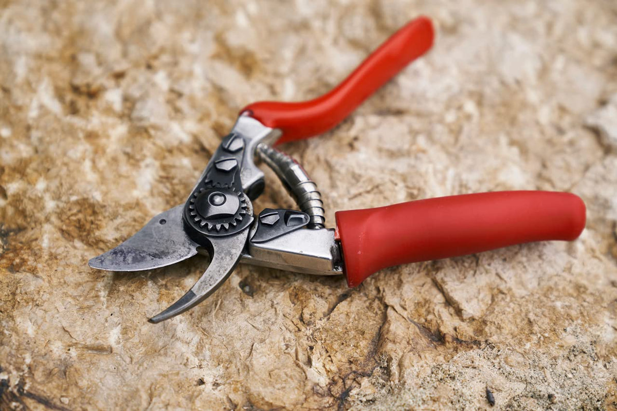 FELCO F15 in action demonstrates smooth cutting with carbon steel blades
