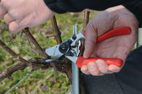 FELCO F7 Swiss-made ergonomic design supports comfortable long pruning sessions