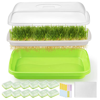 FELISTORY 12-pack sprouter trays with lid for soil-free indoor germination