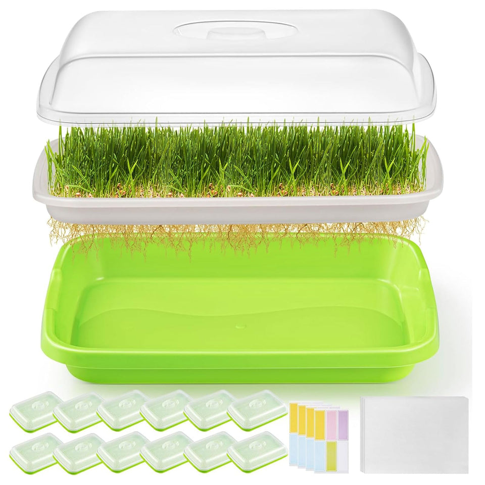 FELISTORY 12-pack sprouter trays with lid for soil-free indoor germination