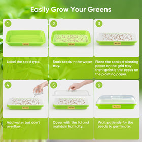 FELISTORY sprouter trays transparent cover lets you monitor progress