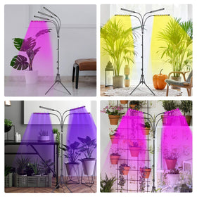 Felibeaco indoor garden setup suitable for seedlings to mature plants