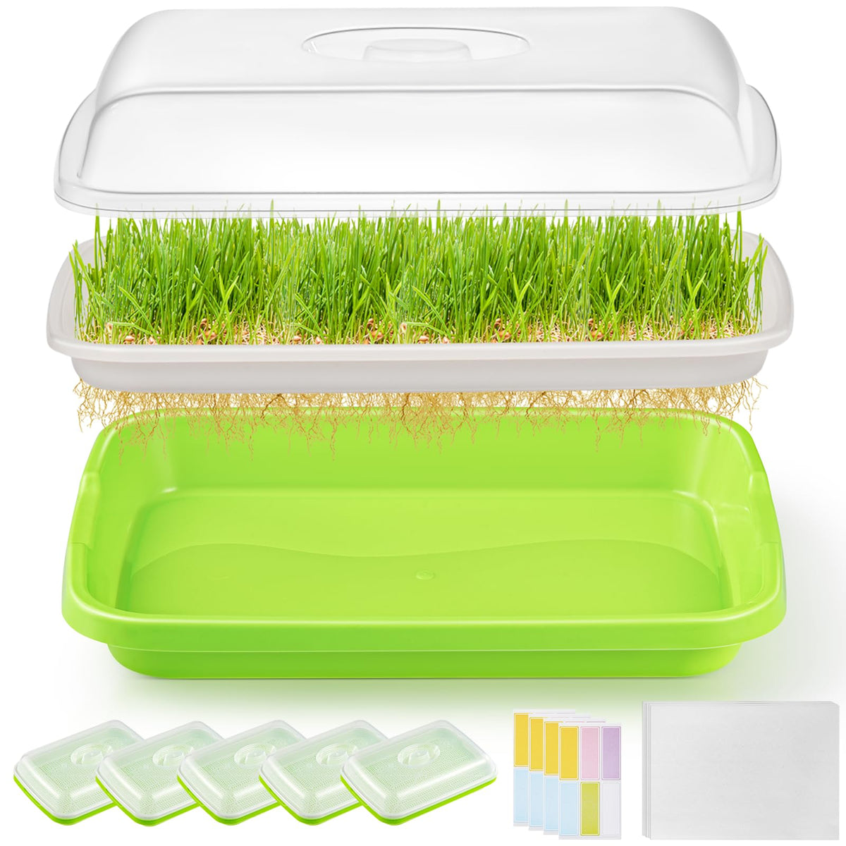 FELISTORY seed sprouter trays with lid for convenient home microgreens cultivation.