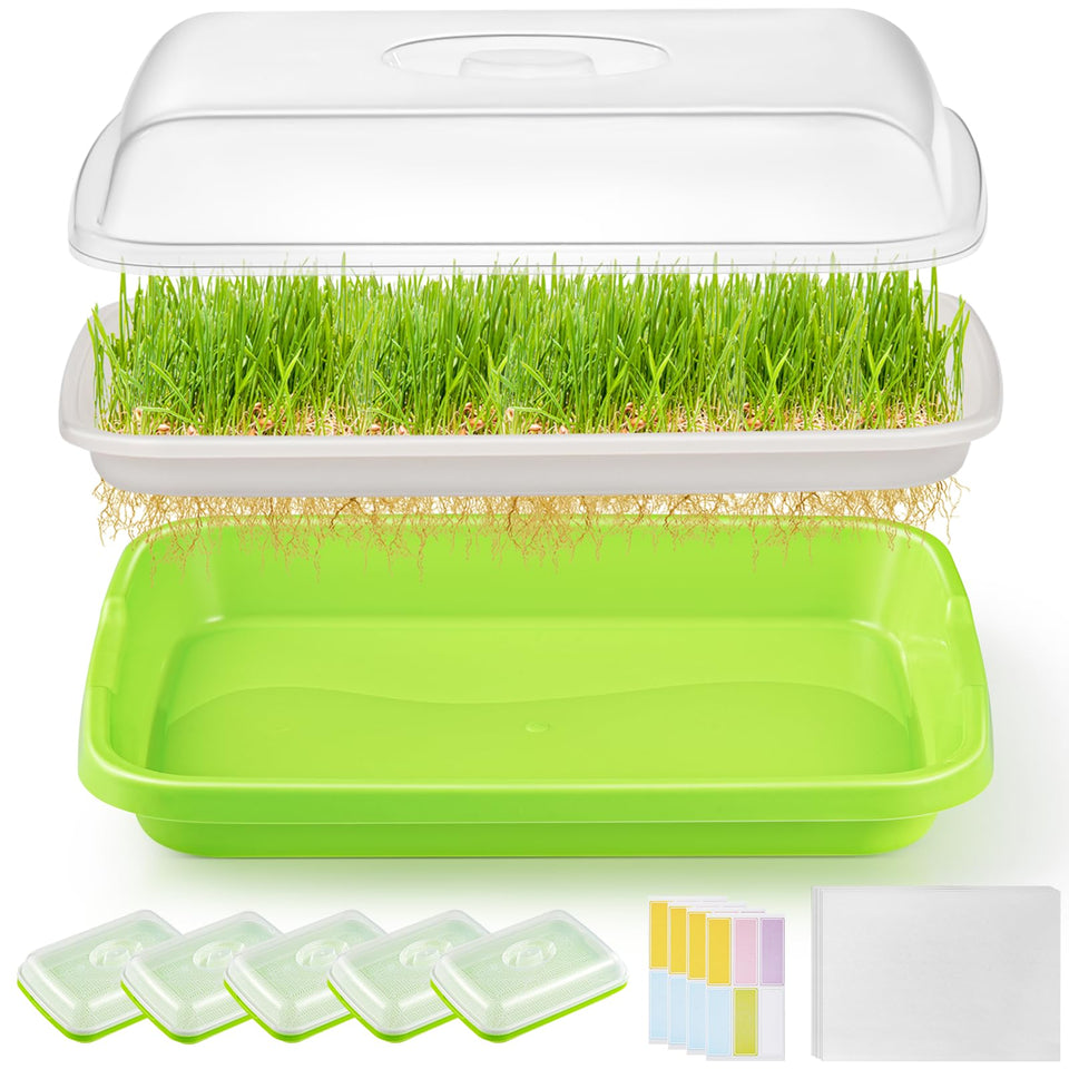 FELISTORY seed sprouter trays with lid for convenient home microgreens cultivation.
