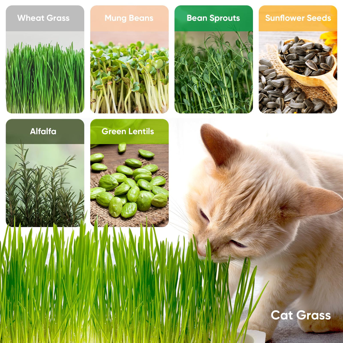 Includes planting papers and labels for organized, traceable harvests.