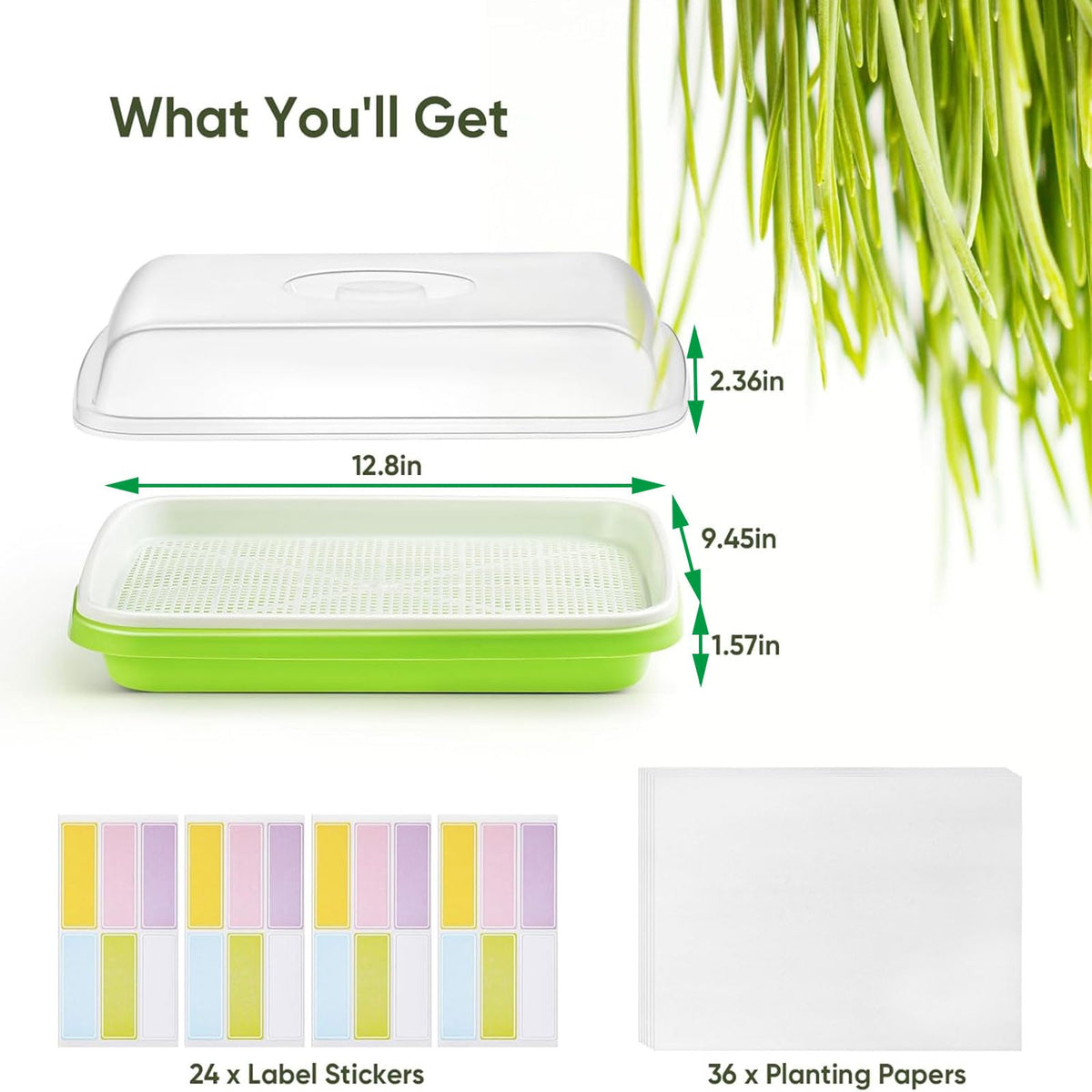 Six trays with lids provide a compact, efficient growing setup.