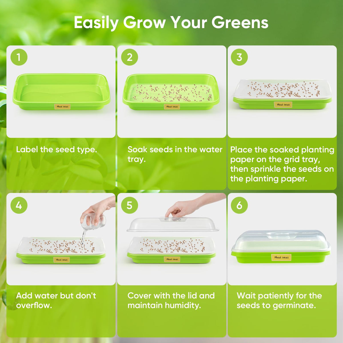 Indoor kit supports microgreens, sprouts, and wheatgrass for year-round harvest.