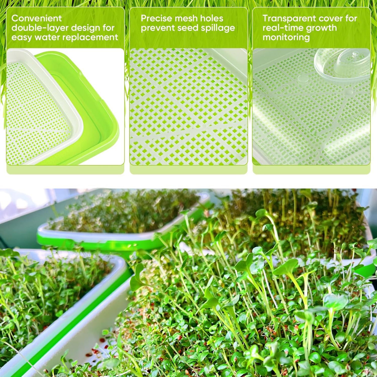 Soil-free sprouting system reduces mess while growing sprouts indoors.