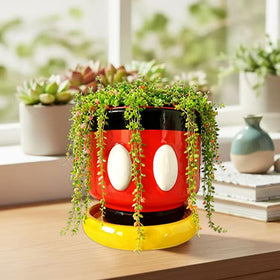 FelyHos resin planter with drainage suits small plants on windowsills.
