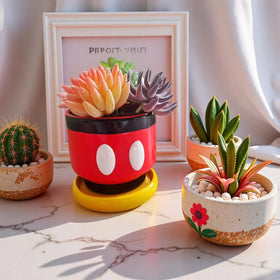 FelyHos gift idea for plant lovers and cartoon enthusiasts.