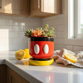 FelyHos compact planter ideal for succulents, cacti, and air plants.