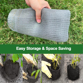 Protected vegetables and fruit trees with Femitu baskets