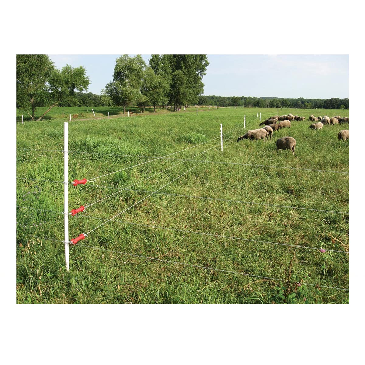 FENCE SHOCK FenSmile durable, lightweight post for temporary uses