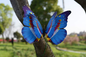 Fenely assorted colors create festive or seasonal garden accents along borders.