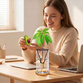 FENGSHOUNIAN transparent vase lets you watch roots and sprouts form in real time.