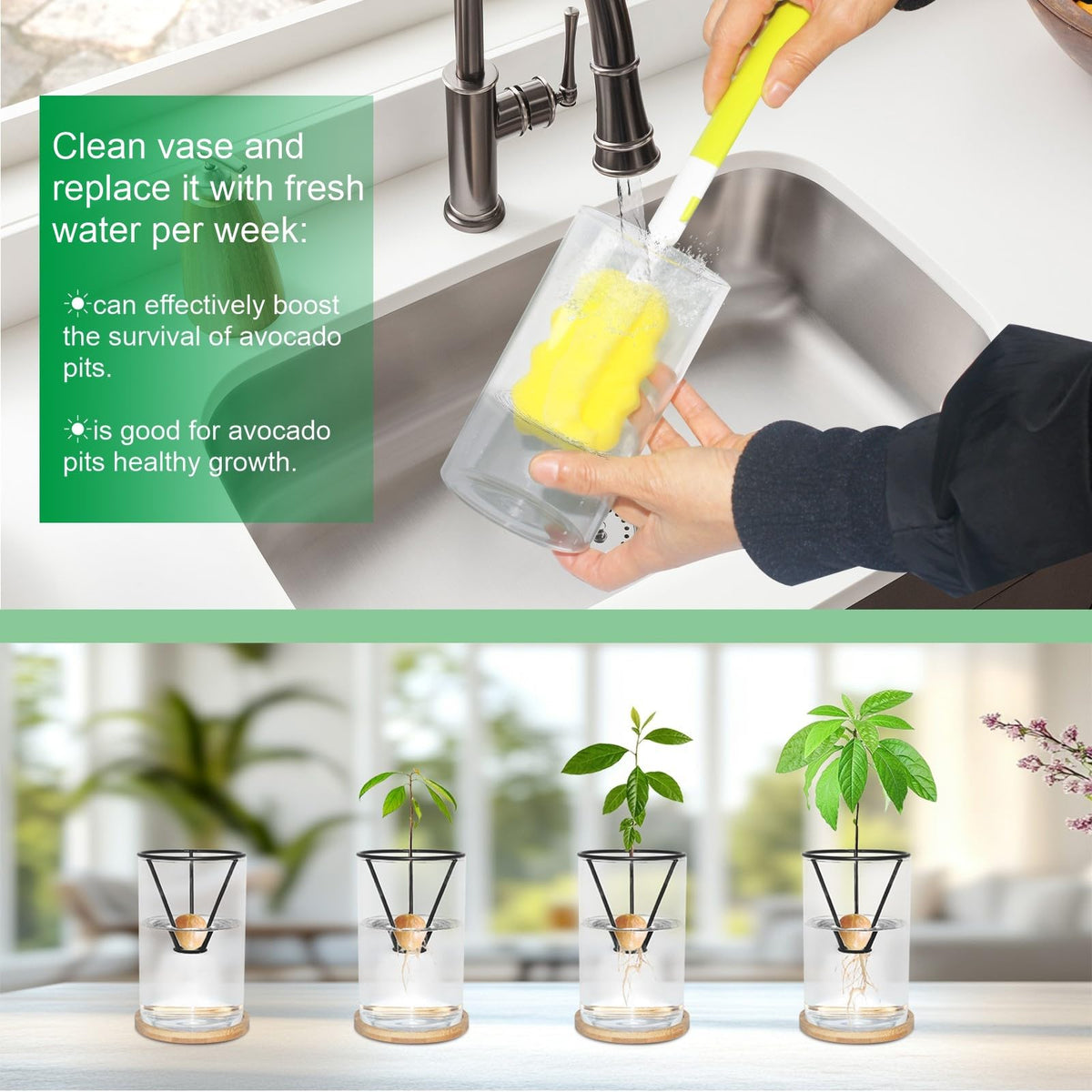 FENGSHOUNIAN glass cleaning brush helps maintain crystal-clear viewing of roots.