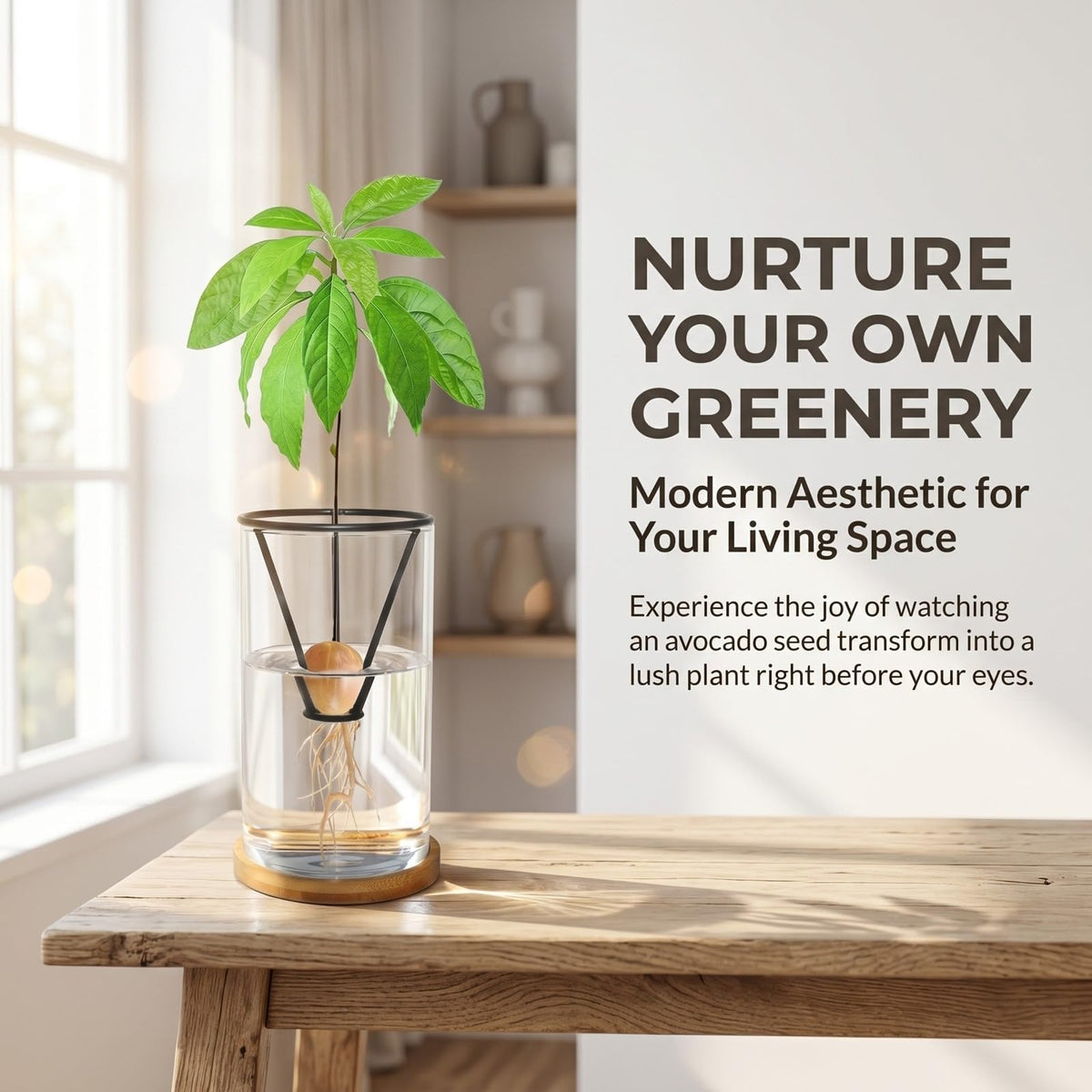 FENGSHOUNIAN complete kit makes a stylish, hands-on gardening activity for home or office.