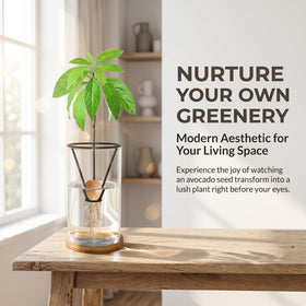 FENGSHOUNIAN complete kit makes a stylish, hands-on gardening activity for home or office.