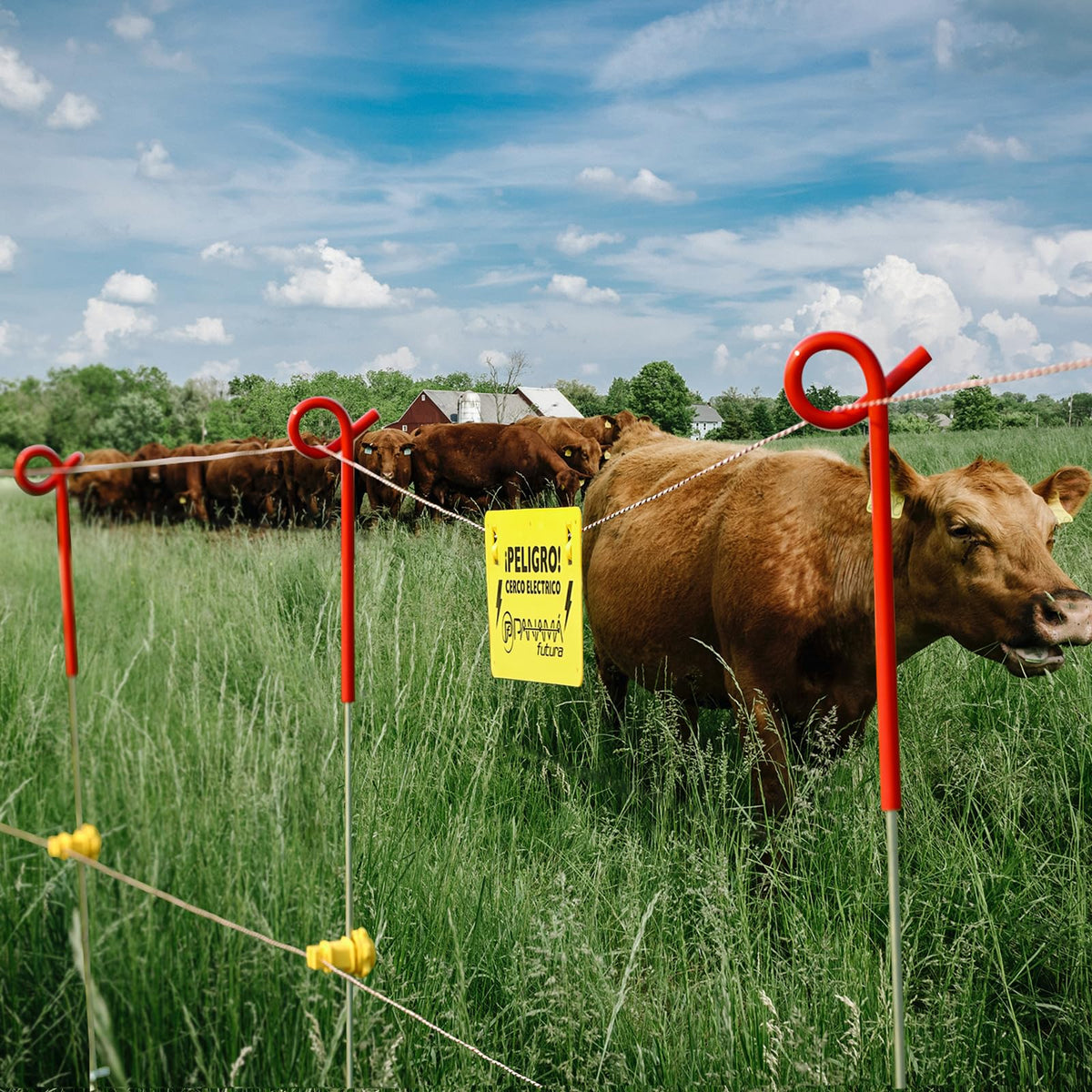 FENSMILE Galvanised spring steel core for long-lasting fencing posts