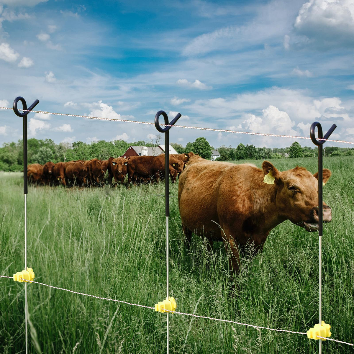 FENSMILE Fence Shock 30-pack black posts for versatile fencing setups.