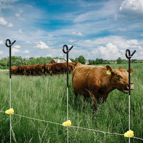 FENSMILE Fence Shock 30-pack black posts for versatile fencing setups.