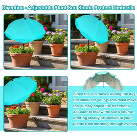 Feoang vibrant color adds a lively accent to your garden.