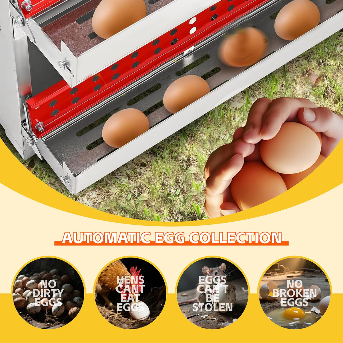 FEOKUMO roll-away egg-collection-tray demonstrates easy front-access egg pickup.
