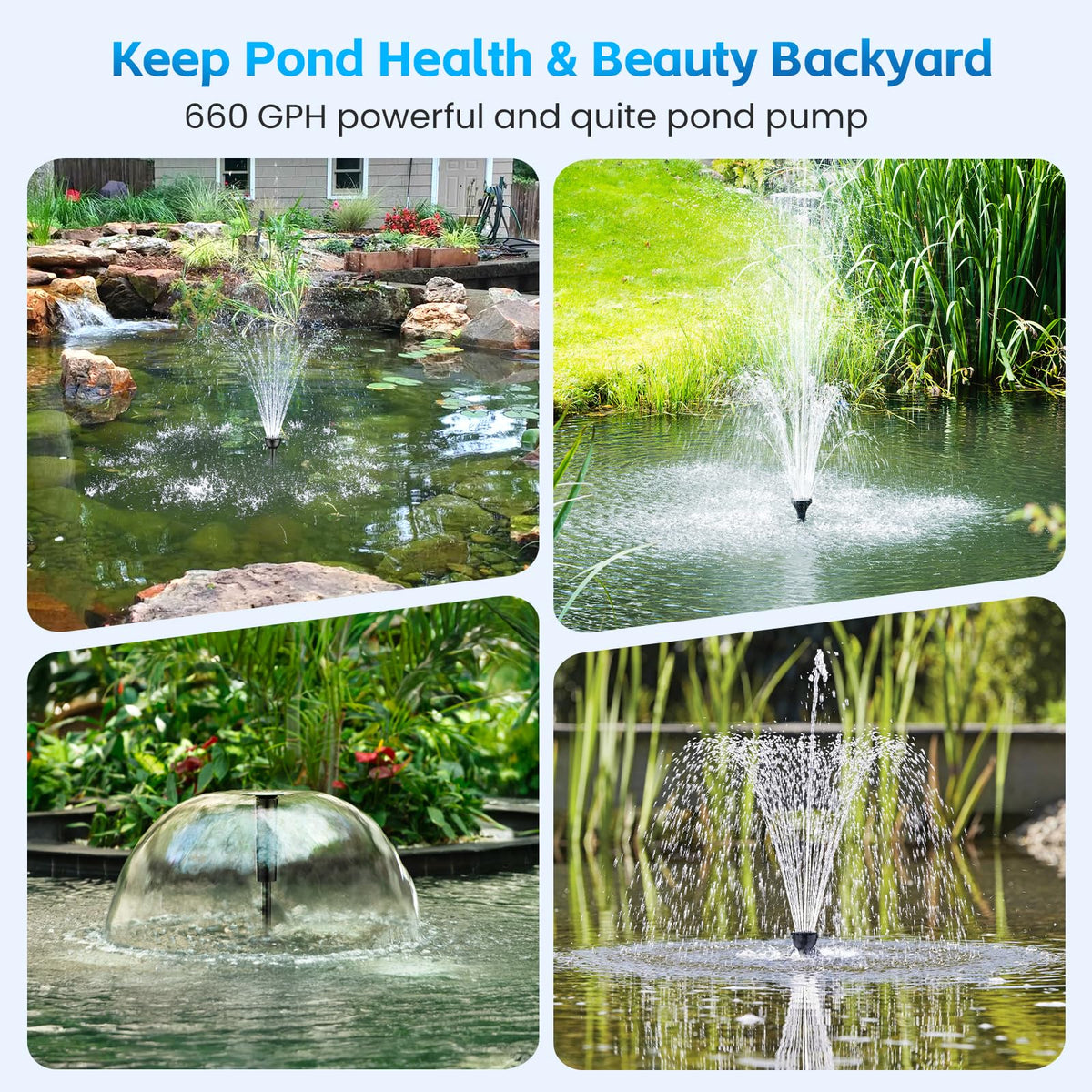Feoxshal koi pond setup showing calm fountain and clear water for a peaceful garden
