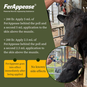 FerAppease application behind the poll for gentle calming support.