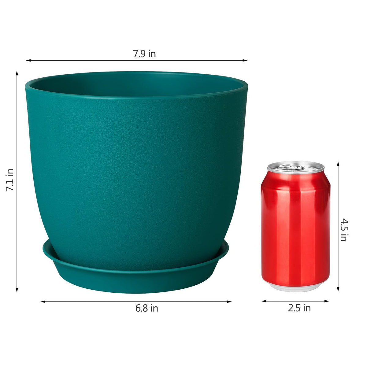 Ferlypote blue pot image showing deep planting space for healthy roots.
