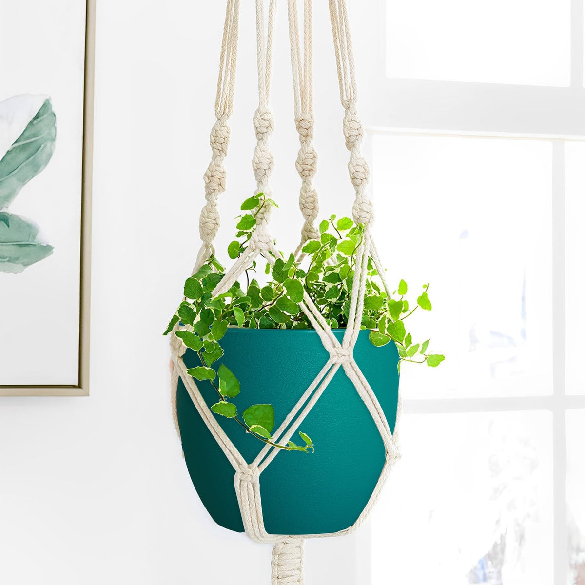 Ferlypote lightweight blue planters are durable in sun and rain conditions.
