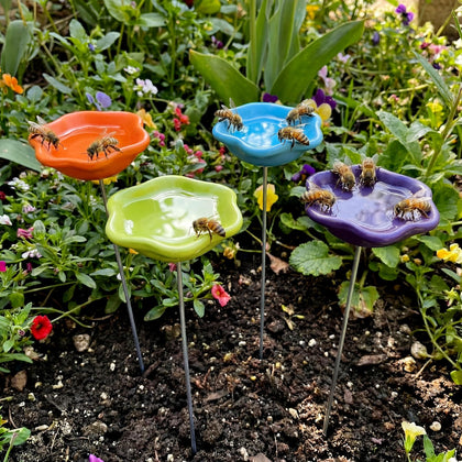 Ferrochef Bee Watering Station 4-pack in garden promotes pollinator hydration and biodiversity.