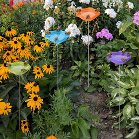 Natural hues blend with flowers, adding decorative value to paths and borders.