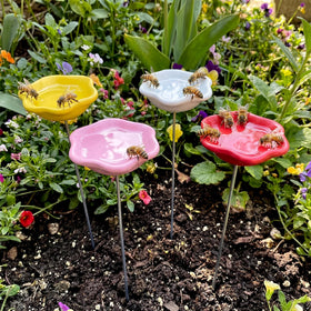 Ferrochef bee watering station pack with four resin cups for pollinators.