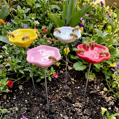 Ferrochef bee watering station pack with four resin cups for pollinators.