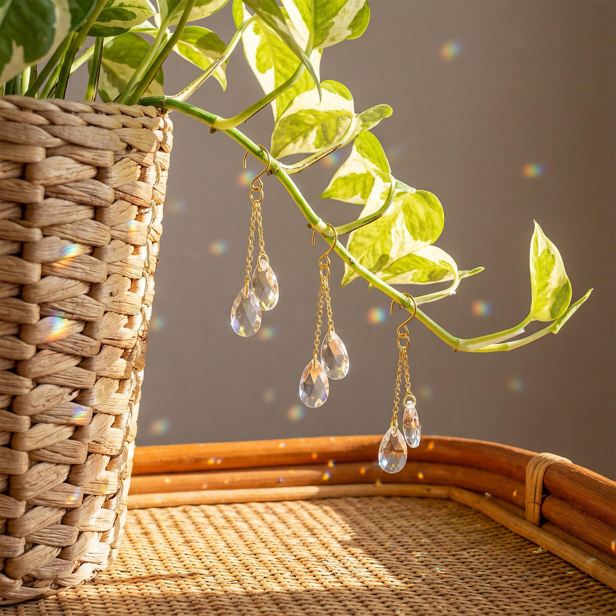 Ferrochef crystal beaded plant charm boosts visual appeal on small potted plants.