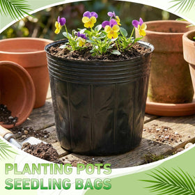 Ferrochef nursery pots with drainage holes support proper watering control.