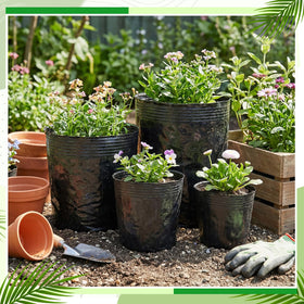 Ferrochef 30-pot bundle ideal for gifting or workshops.