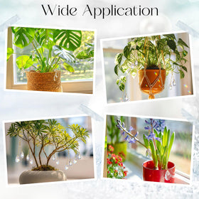 Ferrochef glass crystal sun catcher showcases sunlight, creating mood-friendly ambience.