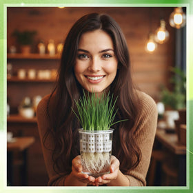 Ferrochef gift-ready set for sustainable kitchen growing
