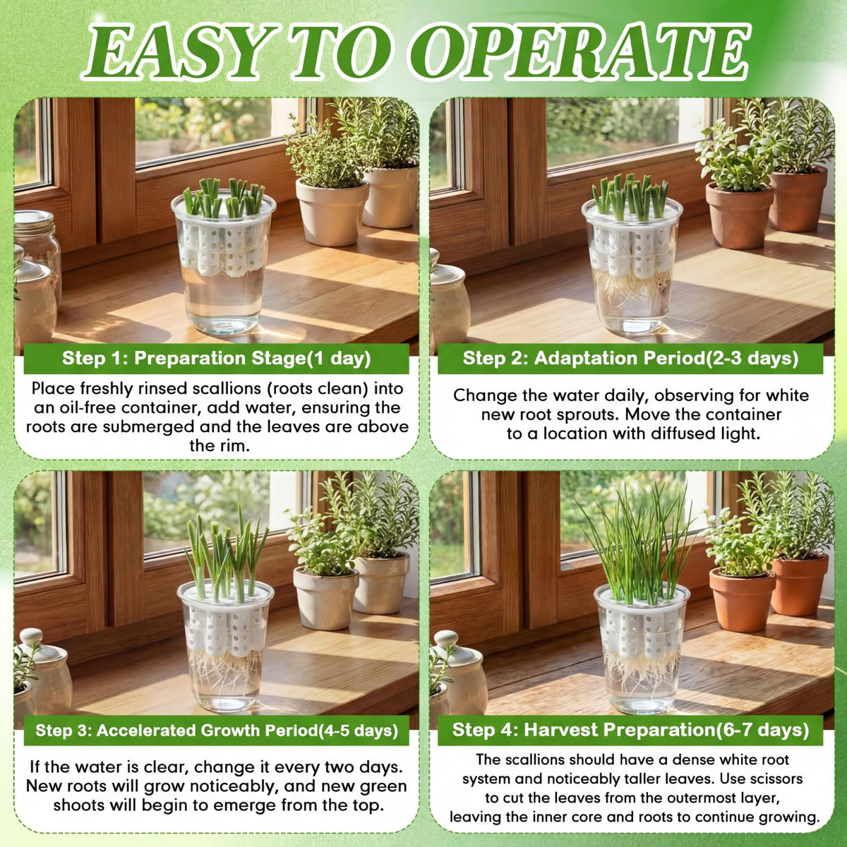 Ferrochef 86mm Mason jar compatibility demonstrates easy setup
