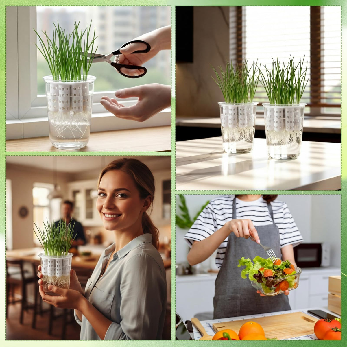Ferrochef onions sprouting in kitchen with minimal care required